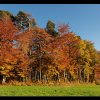 20071102_069